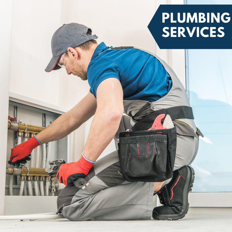 Dania Plumbing Company